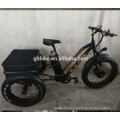 USA Popular Adult Elder Cargo Fat Tire 3 Three Wheels E Tricycle 750W 48V Electric Tricycles 23